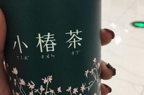 小椿茶投资条件有哪些,小椿茶投资流程是什么